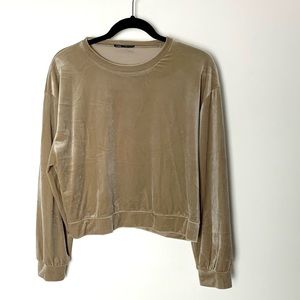 Zara gold/tan velvet sweatshirt. Slightly cropped.